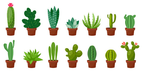 Fototapeta na wymiar Horizontal banner set of desert, room green cactus. Flat, cartoon style. Vector illustration white background. Element design.