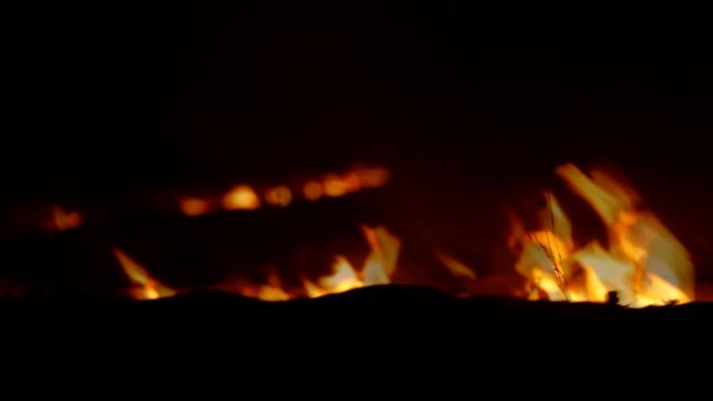 Fading fire in night steppe. 5D mark II. 25 ftp