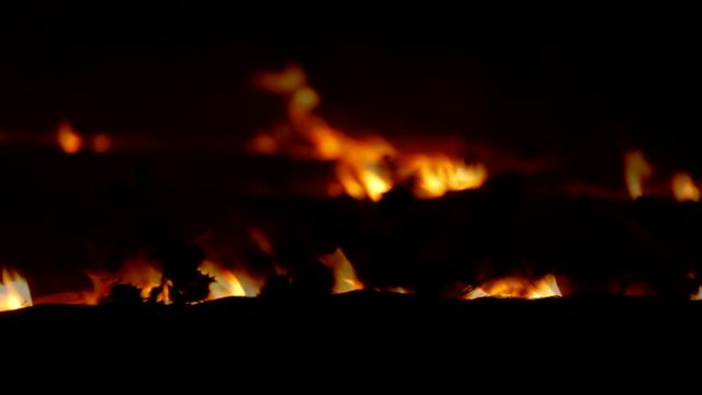 Fading fire in night steppe. 5D mark II. 25 ftp