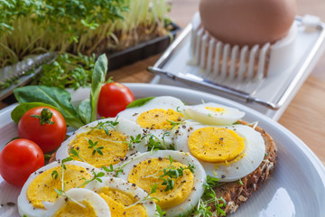 Frühstücksbrot mit Ei und Kresse