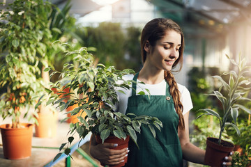 Young entrepreneur gardener running her greenhouse shop holding plants in pots.