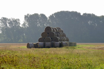 stos bel słomy © Henryk Niestrój