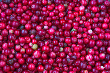 Cowberry, Grapeshot, Red Bilberry, Red Whortleberry,Mountain Cranberry,Lingonberry in bowl .Wooden background.