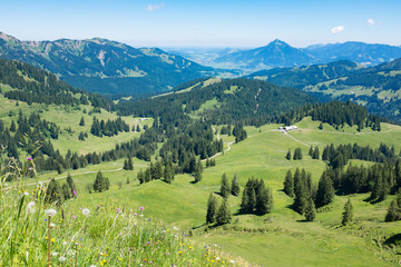 Fototapeta na wymiar Bavarian Alps with mountain view and meadows in the Allgau