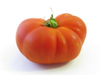 One natural garden tomato on a white background.