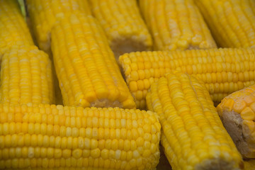 Yellow corn on the cob 