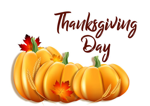 Vector illustration for Thanksgiving day with inscription. Realistic 3D pumpkin, maple leaves, ears of wheat on a white background.