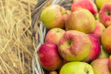 fresh apples laying in the basket on hew