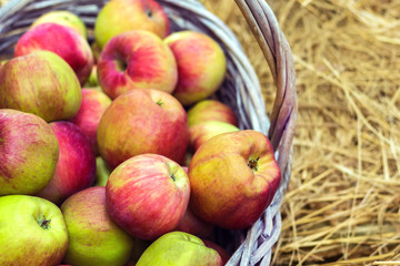 fresh apples laying in the basket on hew