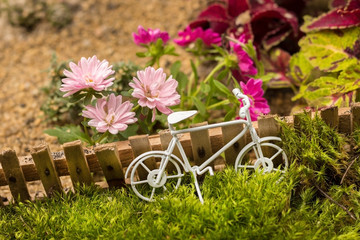 Fototapeta na wymiar small bike miniature summer composition with flowers