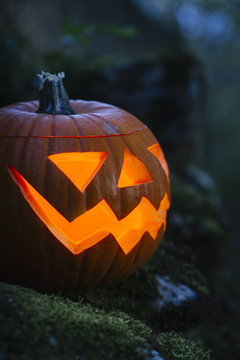 Halloween scary pumpkin with moss