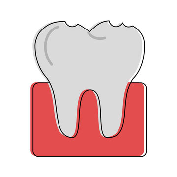 molar tooth dentistry related icon image vector illustration design 