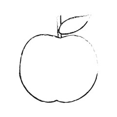 apple fruit icon image vector illustration design  sketch style