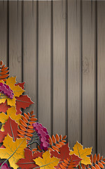 Autumn paper background with colorful tree leaves on wooden backdrop, design elements for the fall season banner, poster or thanksgiving day greeting card, paper cut out art style