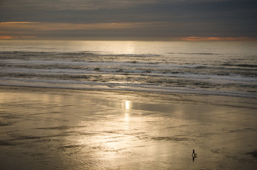 A distant woman walks her dog at sunset on the beach.  Wet sand reflects the sky.