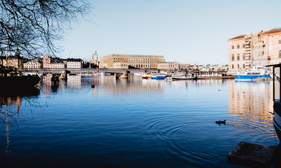spring royal castle stockholm