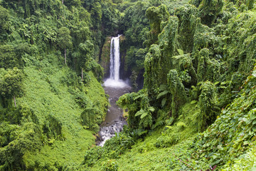 Piulawasserfall im Dschungel von Samoa