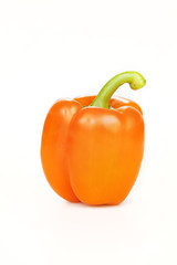 Rote Paprika isoliert auf weissem Hintergrund