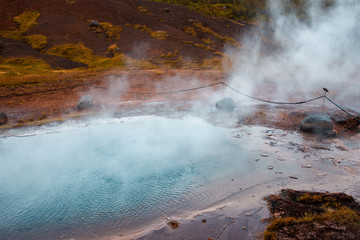 Iceland, valley of geysers, springs of hot geothermal water