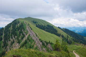 Bavarian Alps with mountain view and meadows in the Allgau