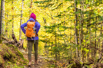Autumn hike backpacker lifestyle woman walking on trek trail in forest outdoors with yellow leaves foliage. Fall outdoor activity girl with bacpack and cold season gear hiking outside. - Powered by Adobe