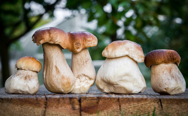 Boletus mushrooms on old wooden table