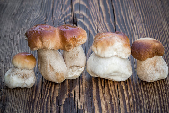 Boletus mushrooms on old wooden table
