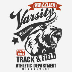 Bear head cartoon vector