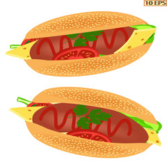 Hot dog. Hot dog with sausage. Delicious hot dog with ketchup. Bun, tomato, cheese, sausage, cheese. Tasty hot dog with sausage, cheese, tomato, lettuce, parsley. Fast food. Vector illustration.