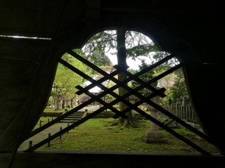 sdr禅寺の庭