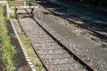 Fototapeta premium Rammbock