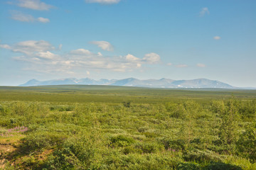 Tundra in the Polar Urals and the Main Ural Range.