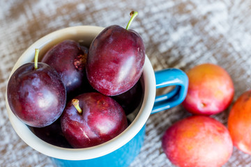 Fresh Plums in a blue mug