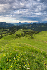 Bavarian Alps with mountain view and meadows in the Allgau