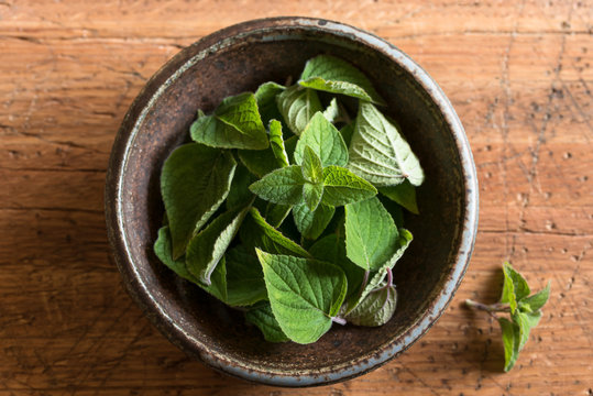 Honey Sage Leaves in a Bowl