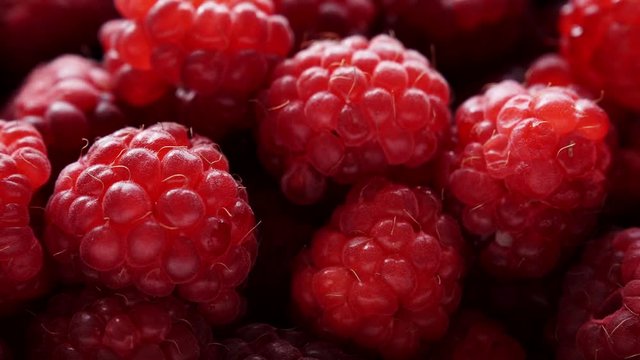 Fresh raspberry fruits as food background. Healthy food organic nutrition. View from above. Dolly slider shot 4K ProRes HQ codec