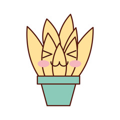 potted plant decoration interior natural element vector illustration