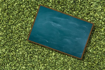 Blackboard.