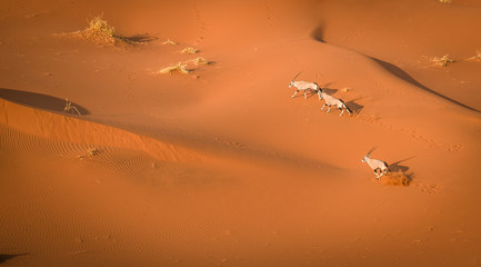 desert dunes, Sossusvlei, Namibia