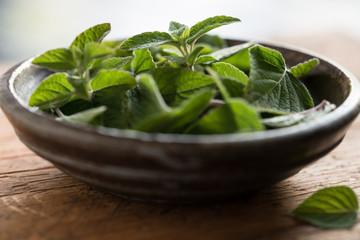 Fresh Honey Sage in a Bowl
