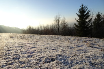 Landschaft mit Raureif in der Sonne