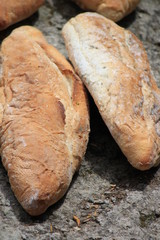 bread
