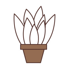 potted plant decoration interior natural element vector illustration