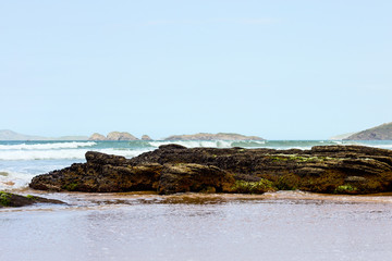 Stone, algae and sea