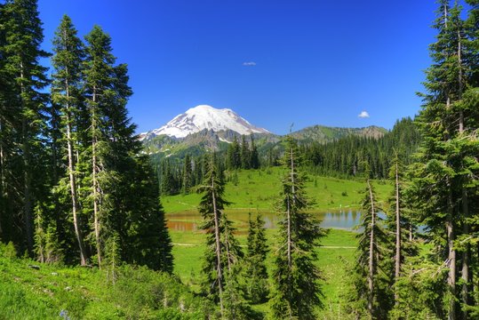 Tipsoo Lake and Mt Ranier
