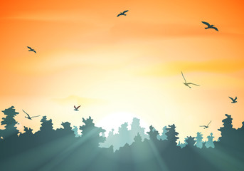 Sunset in the forest, vector illustration