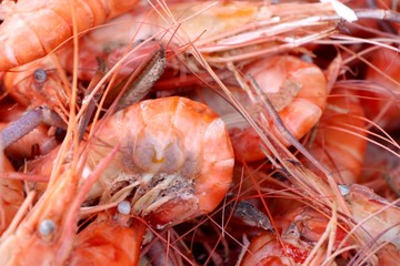shrimp at street food