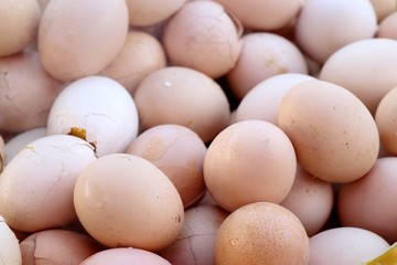 Boiled egg at street food