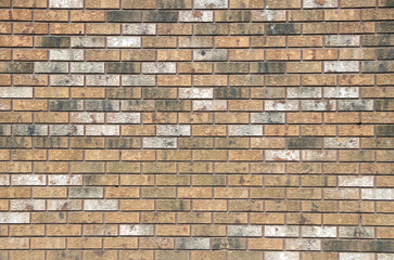 Tan Brick Wall Texture Background 