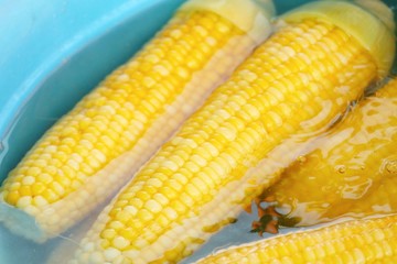 Boiled corn at street food